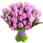 Тюльпан ярко розовый